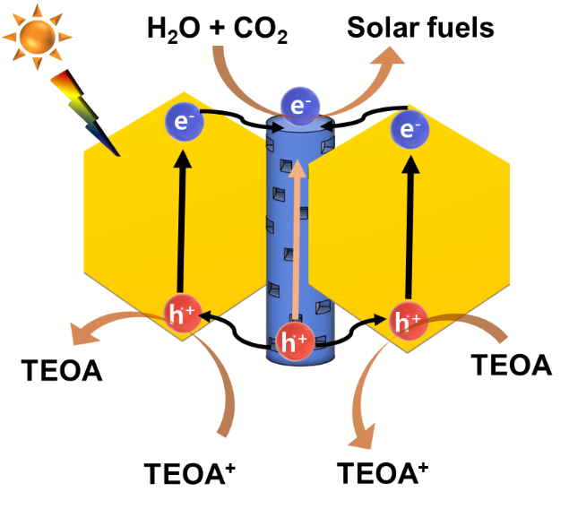 J. Colloid Interface Sci. 651, 264 (2023)