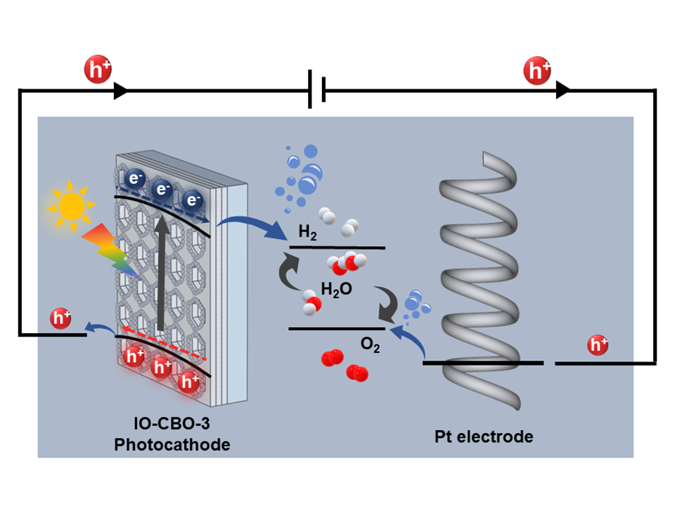 135) Inverse opal CuBi₂O₄ photocathodes for robust photoelectrochemical water splitting