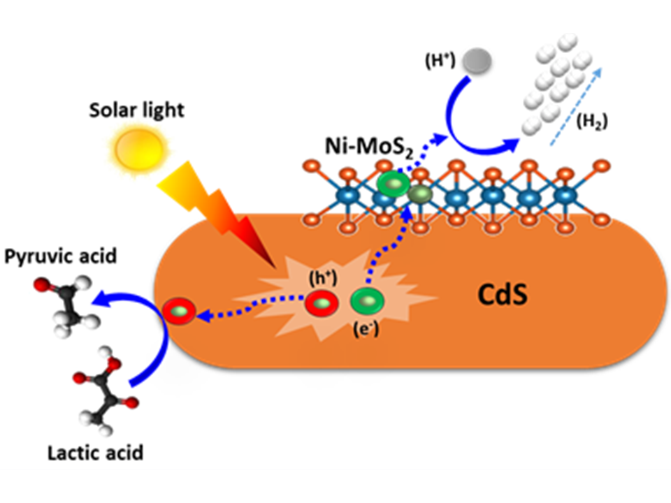 136) Boosting charge transfers in cadmium sulfide nanorods with a few layered Ni-doped MoS₂ nanosheets for enhanced photocatalytic hydrogen evolution